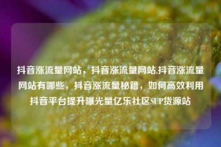 抖音涨流量网站，抖音涨流量网站,抖音涨流量网站有哪些，抖音涨流量秘籍，如何高效利用抖音平台提升曝光量亿乐社区SUP货源站