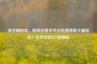 快手刷粉丝，如何在快手平台迅速获取大量粉丝？亿乐社区SUP货源站