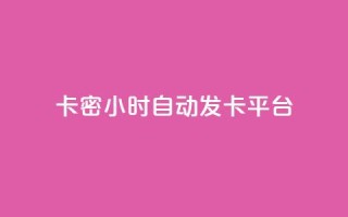 卡密24小时自动发卡平台 - 24小时卡密自动发卡平台 完美解决您的发卡需求!