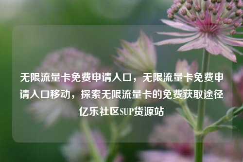 无限流量卡免费申请入口，无限流量卡免费申请入口移动	，探索无限流量卡的免费获取途径亿乐社区SUP货源站  第1张