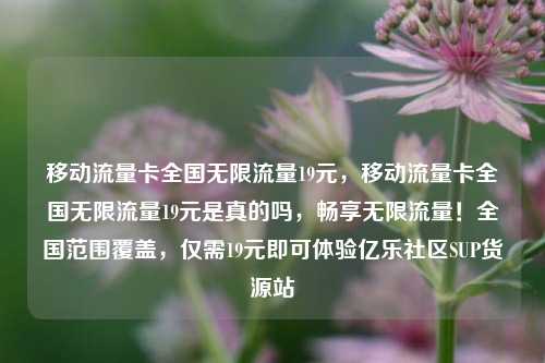 移动流量卡全国无限流量19元，移动流量卡全国无限流量19元是真的吗，畅享无限流量！全国范围覆盖	，仅需19元即可体验亿乐社区SUP货源站  第1张
