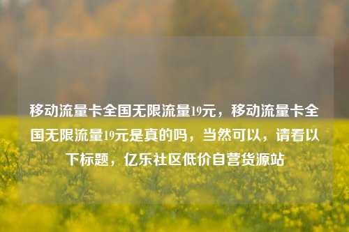 移动流量卡全国无限流量19元，移动流量卡全国无限流量19元是真的吗，当然可以	，请看以下标题，亿乐社区低价自营货源站  第1张