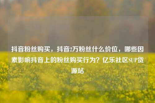 抖音粉丝购买	，抖音2万粉丝什么价位，哪些因素影响抖音上的粉丝购买行为？亿乐社区SUP货源站  第1张