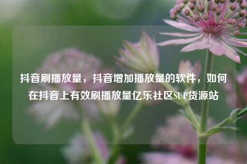 抖音刷播放量	，抖音增加播放量的软件，如何在抖音上有效刷播放量亿乐社区SUP货源站  第1张