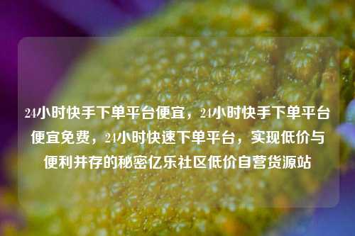 24小时快手下单平台便宜，24小时快手下单平台便宜免费	，24小时快速下单平台，实现低价与便利并存的秘密亿乐社区低价自营货源站  第1张