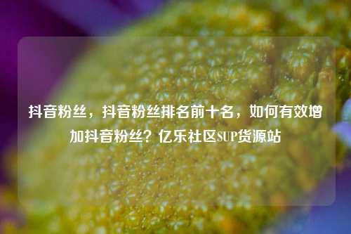 抖音粉丝	，抖音粉丝排名前十名，如何有效增加抖音粉丝？亿乐社区SUP货源站  第1张