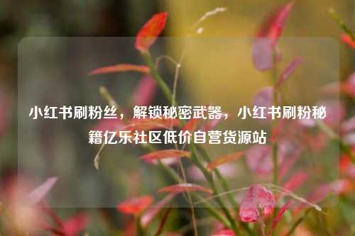 小红书刷粉丝，解锁秘密武器	，小红书刷粉秘籍亿乐社区低价自营货源站  第1张